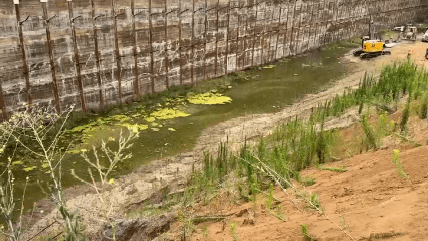 People who work and live in West Hollywood said that a construction site’s standing water has been attracting various bugs.